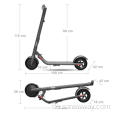 Segway Ninebot E22 Elektrischer Kick-Roller